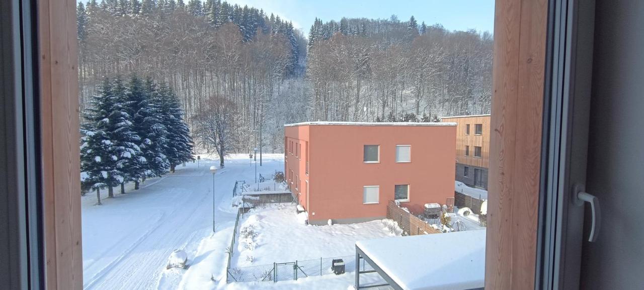 Apartman Nely Svoboda nad Úpou Exteriör bild